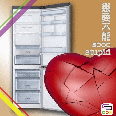 戀愛不能Sooo Stupid（09）- 一個空雪櫃