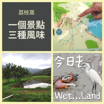 今日去wet...land（13）- 荔枝窩 － 一個景點，三種風味