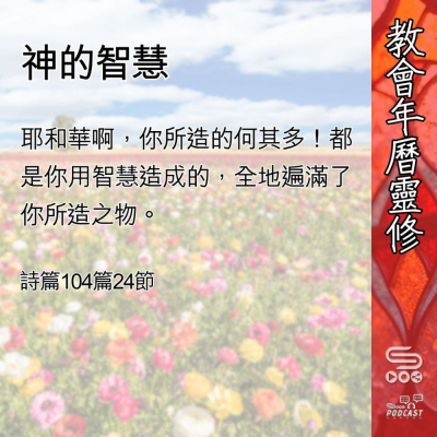 Soooradio 基督教廣播電台 教會年曆靈修（0537） - 神的智慧